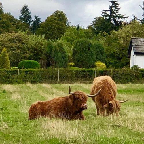 Highland Lodge Kilmorack Eksteriør bilde